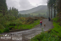 2024-Whinlatter-Trail-Runs-3611