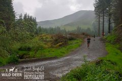 2024-Whinlatter-Trail-Runs-3715