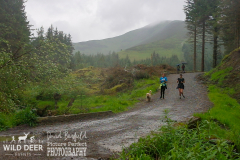 2024-Whinlatter-Trail-Runs-3940