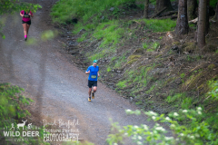 2024-Whinlatter-Trail-Runs-4194