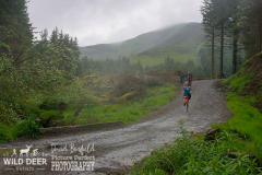 2024-Whinlatter-Trail-Runs-4252