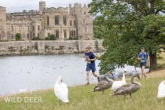 2024-Raby-Castle-Trail-Runs-1013