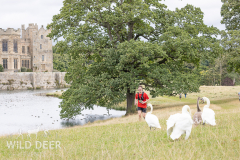 2024-Raby-Castle-Trail-Runs-1032