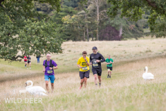 2024-Raby-Castle-Trail-Runs-1110