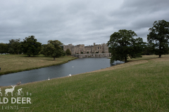2024-Raby-Castle-Trail-Runs-1185