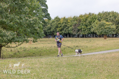 2024-Raby-Castle-Trail-Runs-1530