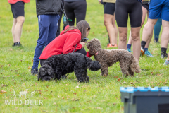 2024-Raby-Castle-Trail-Runs-43