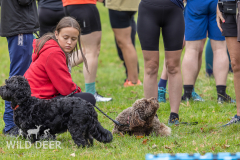 2024-Raby-Castle-Trail-Runs-44