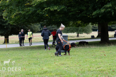 2024-Raby-Castle-Trail-Runs-553