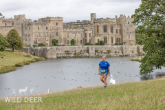2024-Raby-Castle-Trail-Runs-905