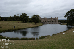 2024-Raby-Castle-Trail-Runs-920