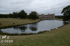 2024-Raby-Castle-Trail-Runs-932