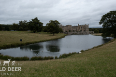 2024-Raby-Castle-Trail-Runs-935