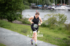 anola
WILD DEER EVLA
146
