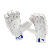 Picture-Perfect-Photography-10