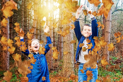 001-Mini-Shoot-Leaves