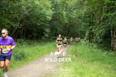 AHRC
WILD DEER EVEN
126