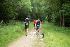 g
WILD DEE
589
11
A