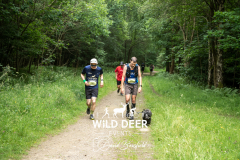 WILD DEER
589
ETAS L