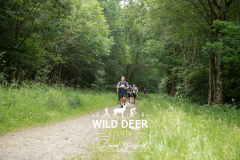 WDE-Chopwell-Trail-10k-1096