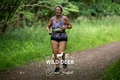WILD DEER EVENTS