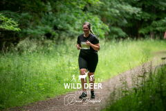 WILD DEER
572