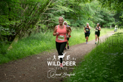 WILD DEER EVENTS
538