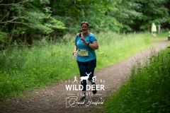 WILD DEER EVENTS
556