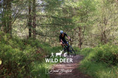 2023-WDE-Dalby-Duathlon-and-Devil-Rides-1174