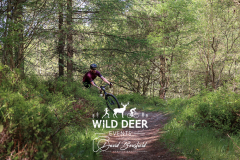 2023-WDE-Dalby-Duathlon-and-Devil-Rides-1200