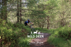 2023-WDE-Dalby-Duathlon-and-Devil-Rides-1247