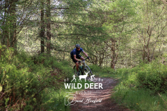 2023-WDE-Dalby-Duathlon-and-Devil-Rides-1248