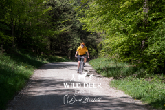 2023-WDE-Dalby-Duathlon-and-Devil-Rides-1370