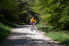 2023-WDE-Dalby-Duathlon-and-Devil-Rides-1371