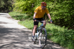 wi