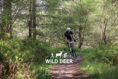 2023-WDE-Dalby-Duathlon-and-Devil-Rides-1446