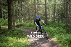 2023-WDE-Dalby-Duathlon-and-Devil-Rides-0062