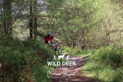 2023-WDE-Dalby-Duathlon-and-Devil-Rides-0563