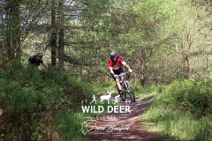 2023-WDE-Dalby-Duathlon-and-Devil-Rides-0565