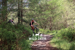 2023-WDE-Dalby-Duathlon-and-Devil-Rides-0583