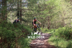 2023-WDE-Dalby-Duathlon-and-Devil-Rides-0584