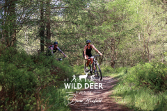 2023-WDE-Dalby-Duathlon-and-Devil-Rides-0585