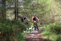 2023-WDE-Dalby-Duathlon-and-Devil-Rides-0586