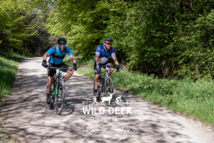 2023-WDE-Dalby-Duathlon-and-Devil-Rides-0674