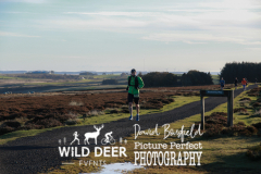 Wild Deer Ultra