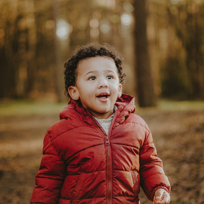Chopwell Woods Mini Shoot